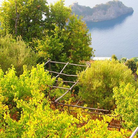 Giardino Sul Mare Apartment Amalfi Exterior foto