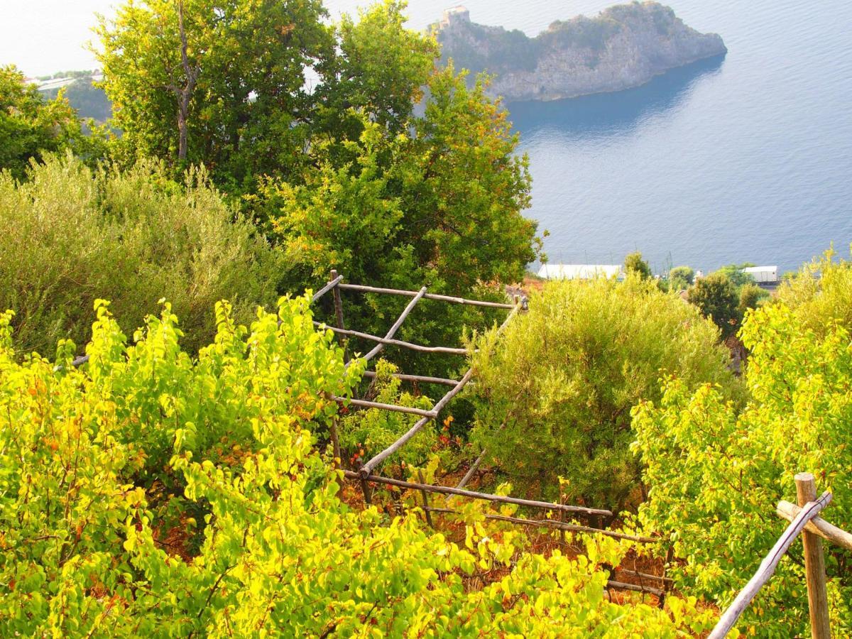 Giardino Sul Mare Apartment Amalfi Exterior foto