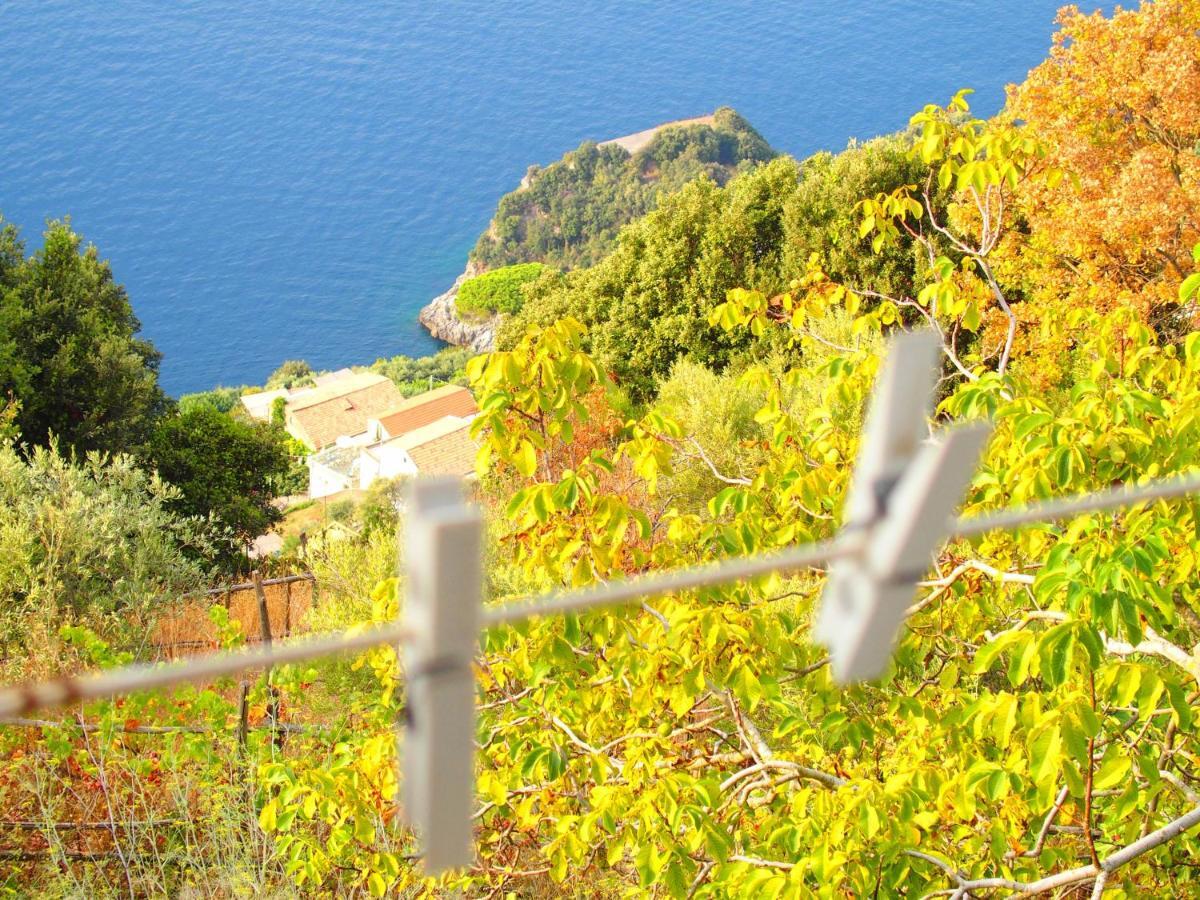 Giardino Sul Mare Apartment Amalfi Exterior foto